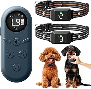 Small Shock Collar for 2 Small Dogs, 3 Channels
