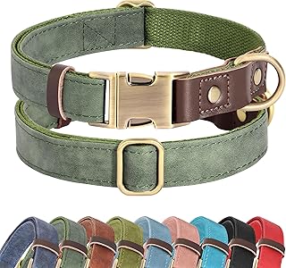 Didog Soft PU Leather Dog Collar for Small Dogs