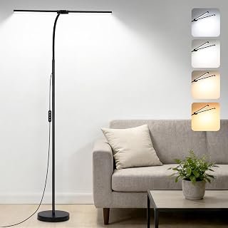 24W LED Floor Lamp with Dual Head