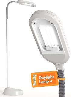 Kenley Natural Daylight Floor Lamp