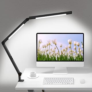 Architect Clamp-On Dual Light LED Desk Lamp