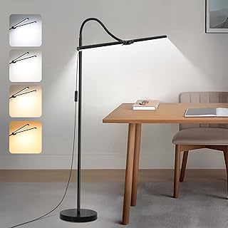 LED Floor Lamp with Double Head