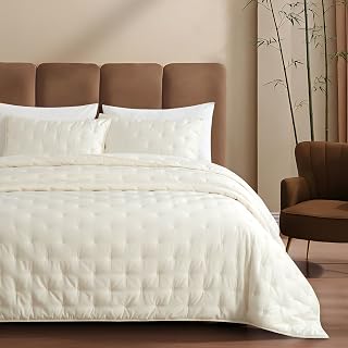 Viscose from Bamboo Shell Dream Cooling Quilt Set Queen